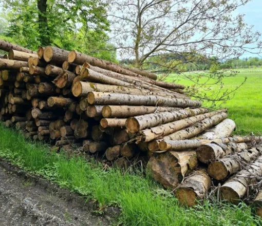 Troncos de abeto – Camión completo 50 m³ – Certificado PEFC