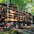 Troncos de madera blanda – Camión completo 50 m³ – Certificado PEFC