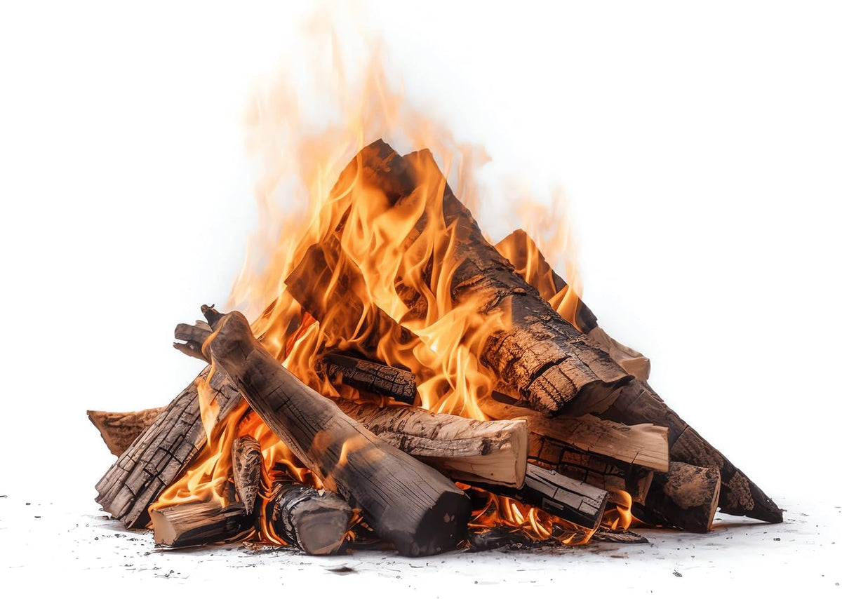 Leña para chimenea, hoguera, barbacoa, estufa, ahumador, madera de haya seca, lista para ser quemada