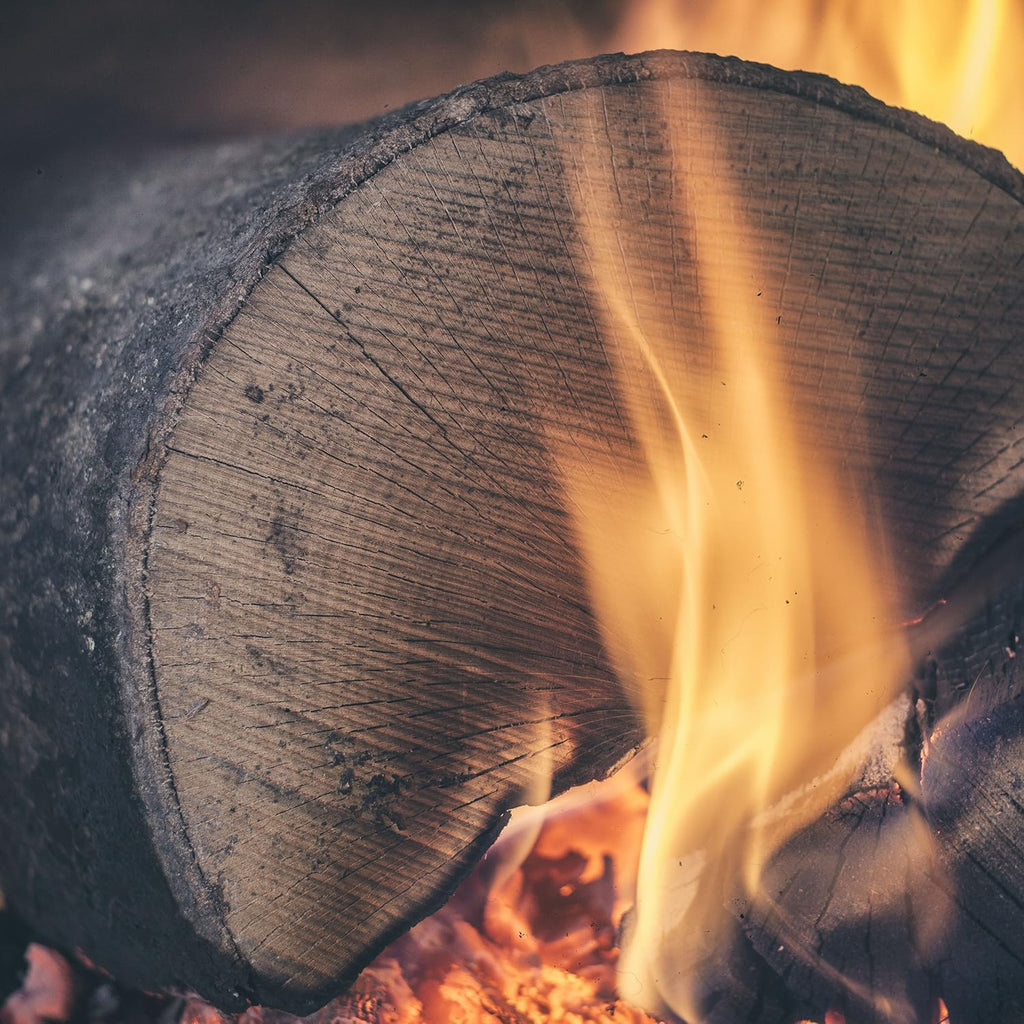 Leña para chimenea, hoguera, barbacoa, estufa, ahumador, madera de haya seca, lista para ser quemada