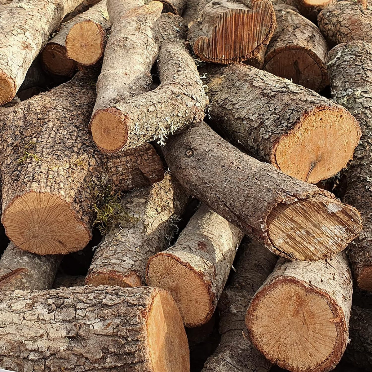 Leña de Encina para Chimeneas, Estufas, Barbacoas y Hornos de Asar.