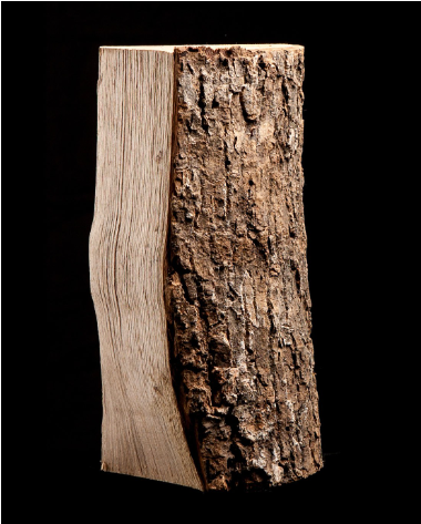 Gran palé de leña de haya secada en horno – 25/30 cm