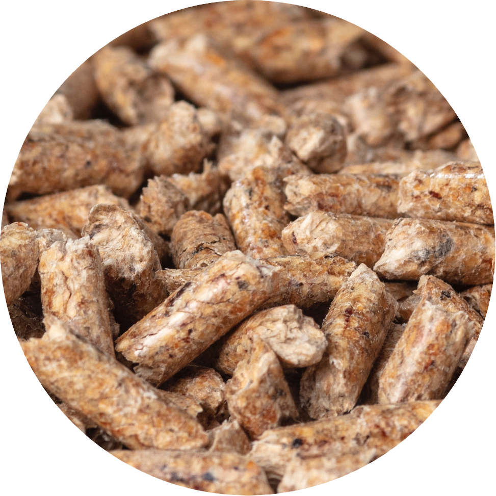 Pellets EcoPower Premium – Palé de 78 sacos de 15 kg