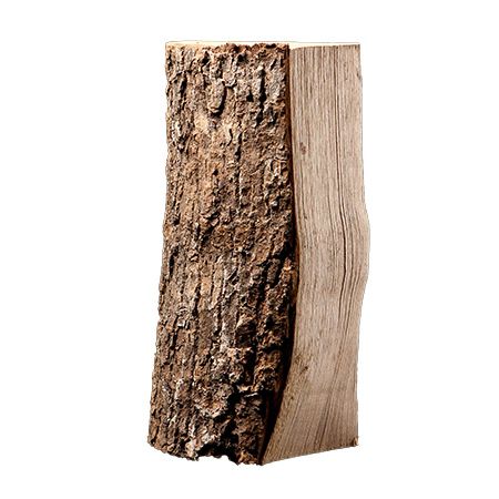 Tronco de madera de fresno